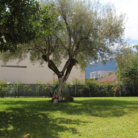 Holiday Lefkas Moonlight Luxury Appartments Nikiána Eksteriør bilde